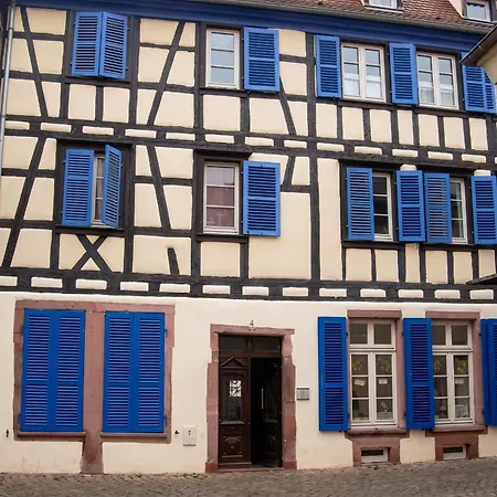 Moderne A Colmar, 30 M² Avec Equipements Colmar